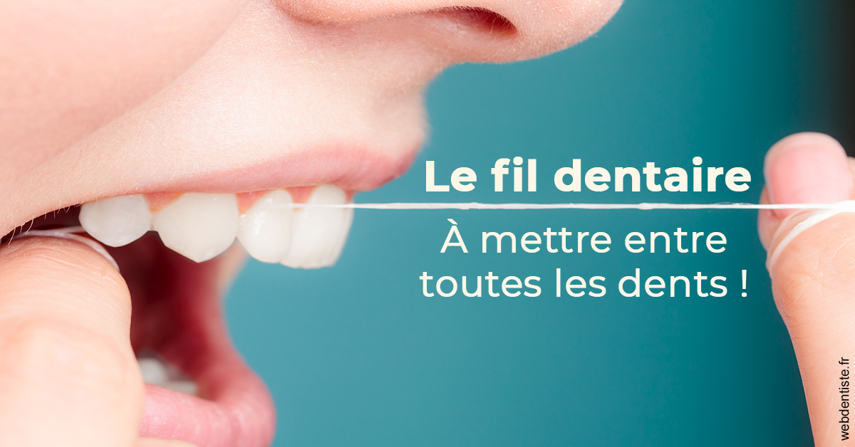 https://dr-christophe-hollebecque.chirurgiens-dentistes.fr/Le fil dentaire 2