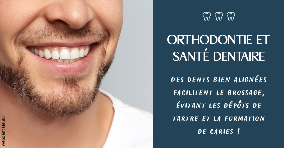 https://dr-christophe-hollebecque.chirurgiens-dentistes.fr/Orthodontie et santé dentaire 2