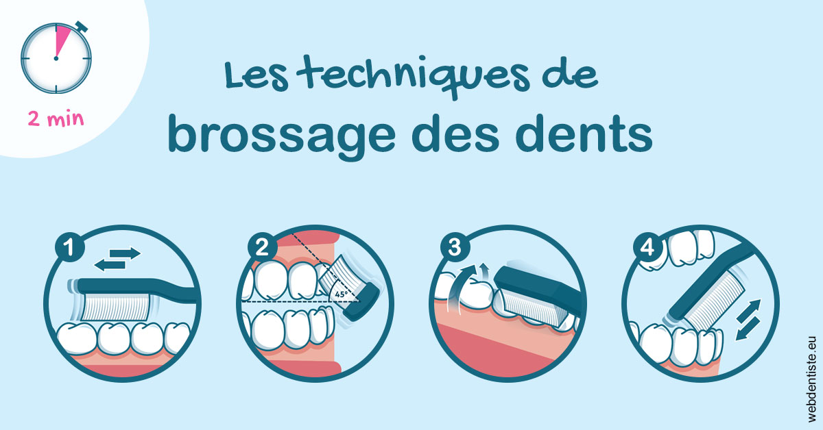 https://dr-christophe-hollebecque.chirurgiens-dentistes.fr/Les techniques de brossage des dents 1