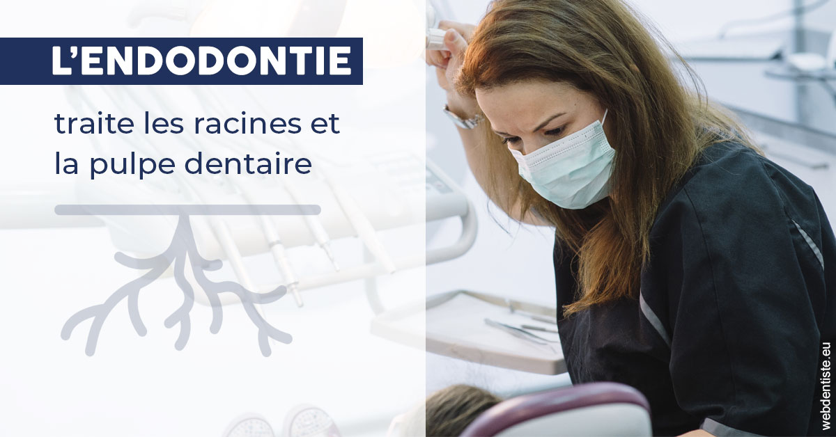 https://dr-christophe-hollebecque.chirurgiens-dentistes.fr/L'endodontie 1