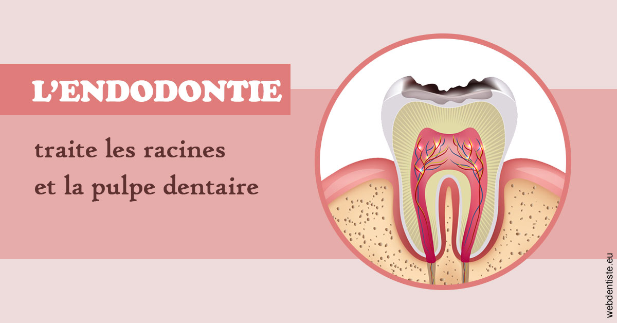 https://dr-christophe-hollebecque.chirurgiens-dentistes.fr/L'endodontie 2