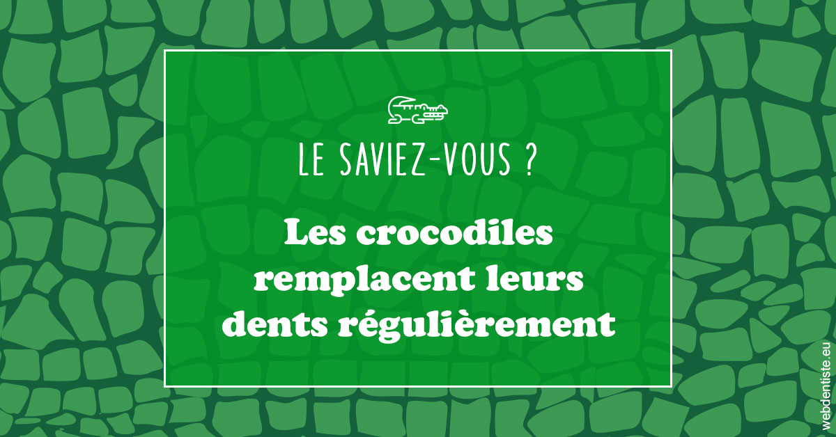 https://dr-christophe-hollebecque.chirurgiens-dentistes.fr/Crocodiles 1