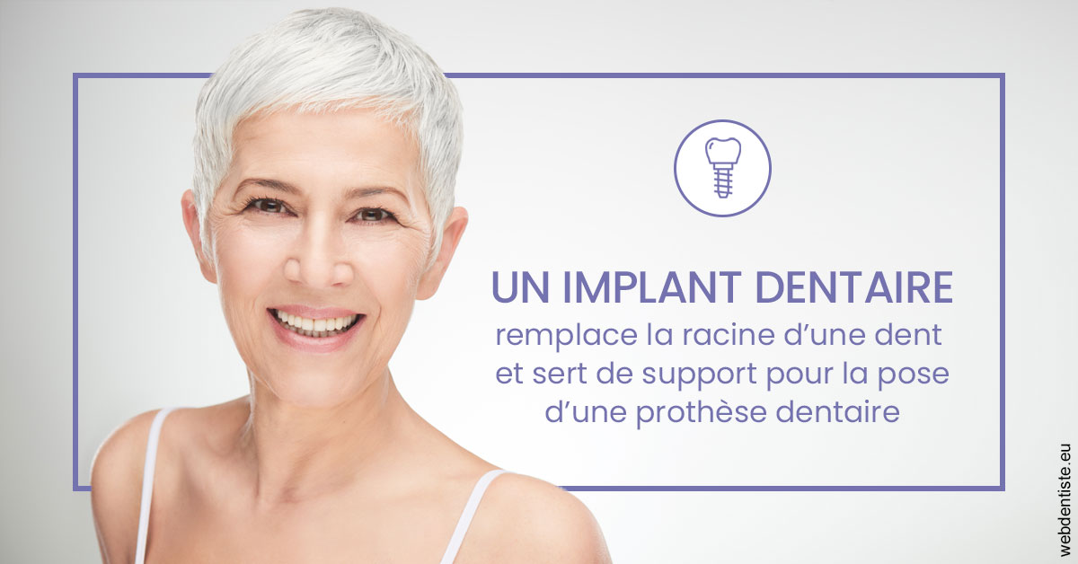 https://dr-christophe-hollebecque.chirurgiens-dentistes.fr/Implant dentaire 1